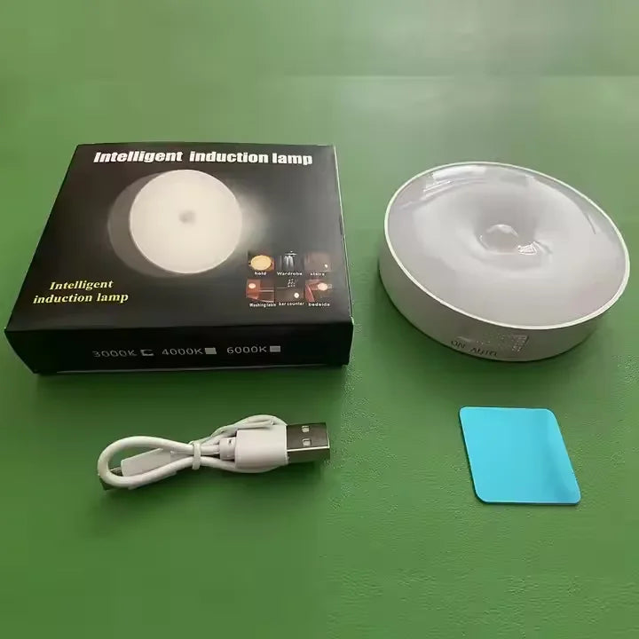 Rechargeable Motion Sensor LED Night Light